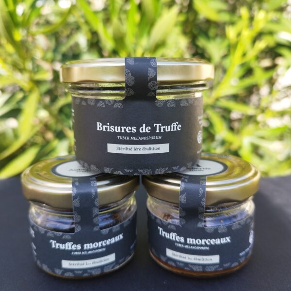 famille truffe